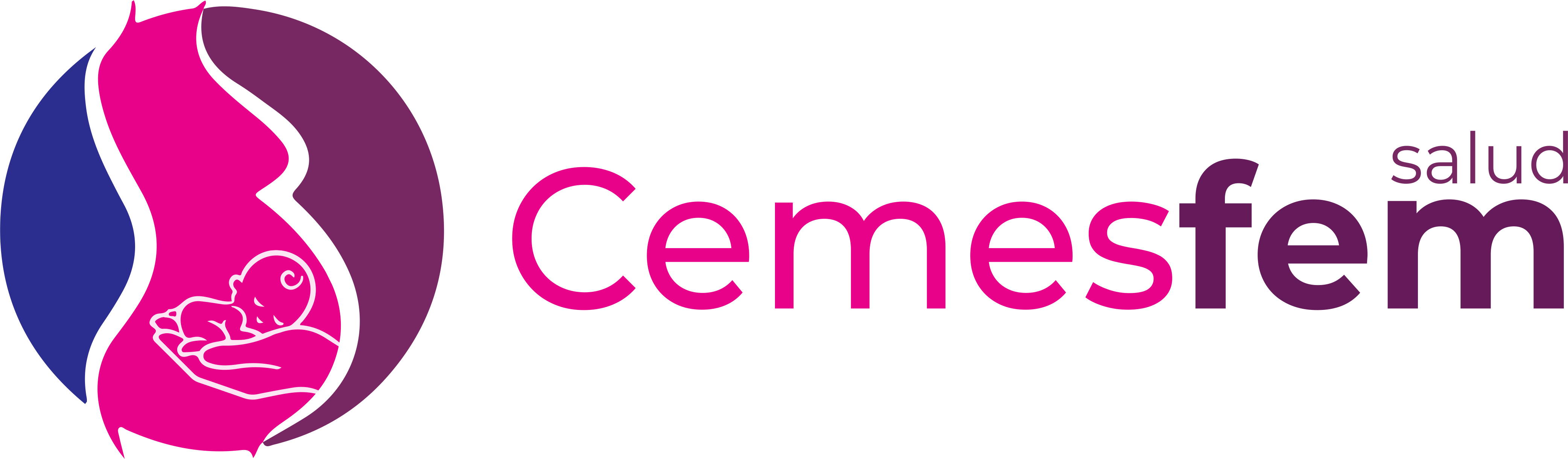 logo cemesfem sin slogan