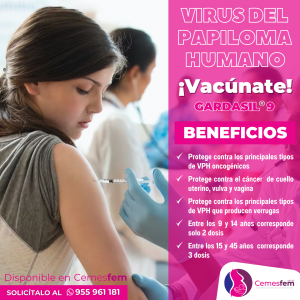 VIRUS PAPAILOMA HUMANO